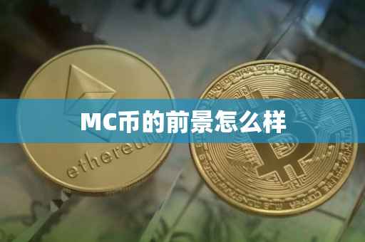 MC币的前景怎么样