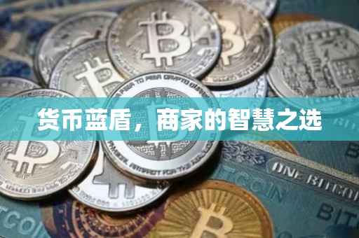货币蓝盾，商家的智慧之选