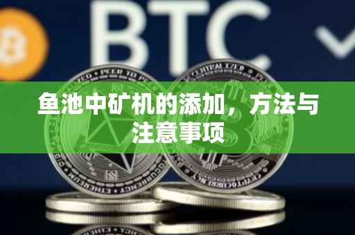 鱼池中矿机的添加，方法与注意事项