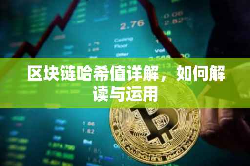 区块链哈希值详解，如何解读与运用