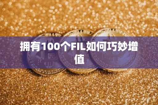 拥有100个FIL如何巧妙增值