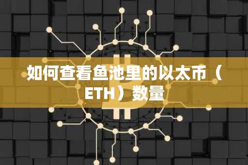 如何查看鱼池里的以太币（ETH）数量