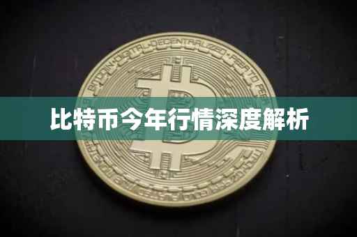 比特币今年行情深度解析