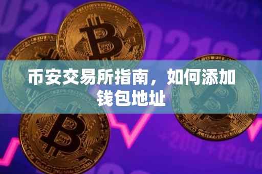 币安交易所指南，如何添加钱包地址