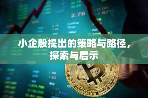 小企股提出的策略与路径，探索与启示