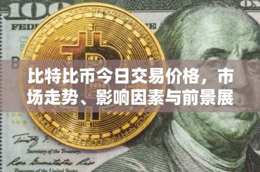 比特比币今日交易价格，市场走势、影响因素与前景展望
