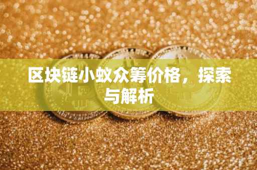 区块链小蚁众筹价格，探索与解析