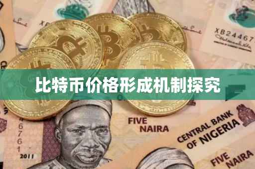 比特币价格形成机制探究