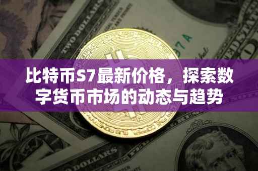 比特币S7最新价格，探索数字货币市场的动态与趋势