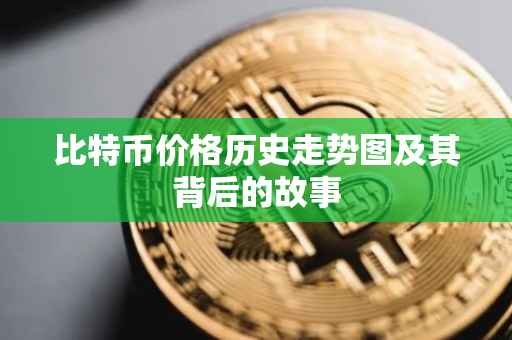 比特币价格历史走势图及其背后的故事