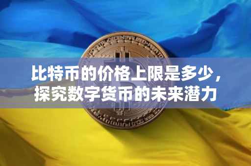 比特币的价格上限是多少，探究数字货币的未来潜力