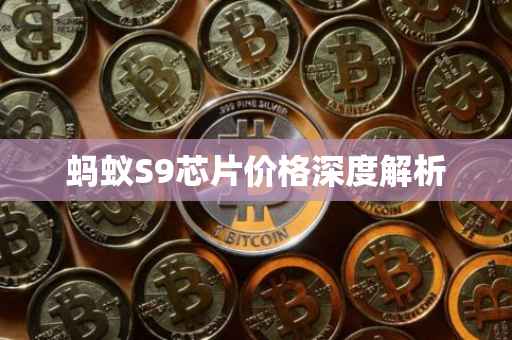 蚂蚁S9芯片价格深度解析