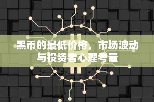 黑币的最低价格，市场波动与投资者心理考量