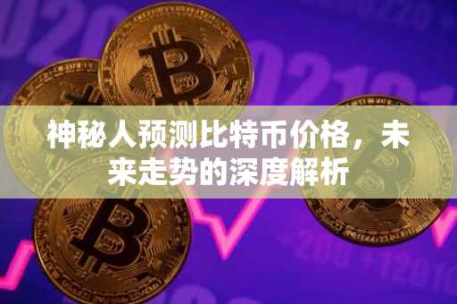 神秘人预测比特币价格，未来走势的深度解析