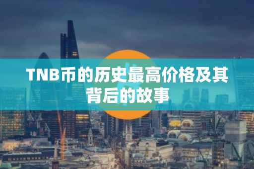 TNB币的历史最高价格及其背后的故事