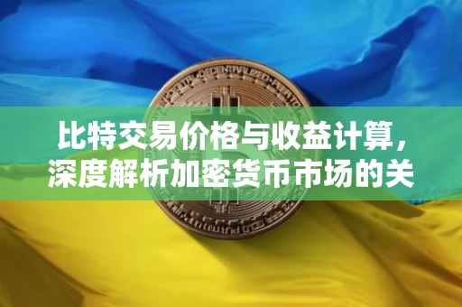 比特交易价格与收益计算，深度解析加密货币市场的关键因素
