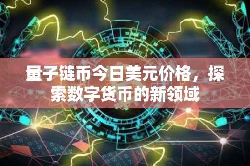 量子链币今日美元价格，探索数字货币的新领域