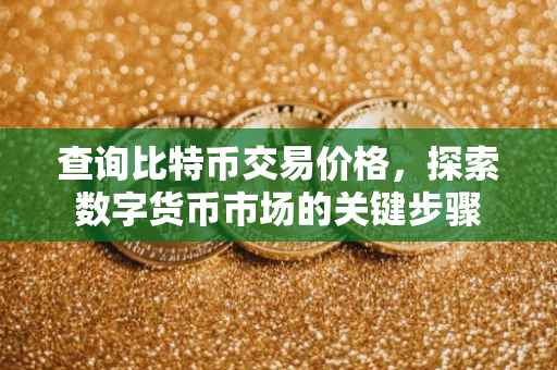 查询比特币交易价格，探索数字货币市场的关键步骤