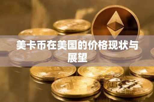 美卡币在美国的价格现状与展望