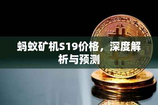蚂蚁矿机S19价格，深度解析与预测