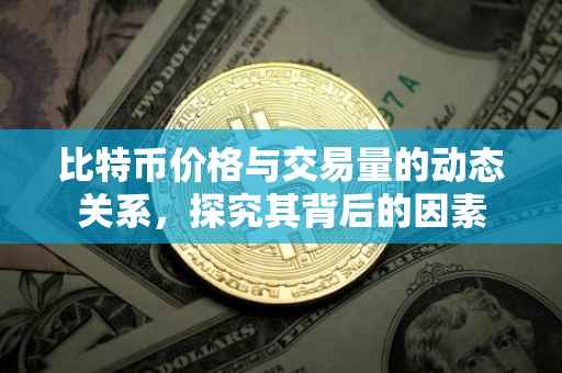 比特币价格与交易量的动态关系，探究其背后的因素