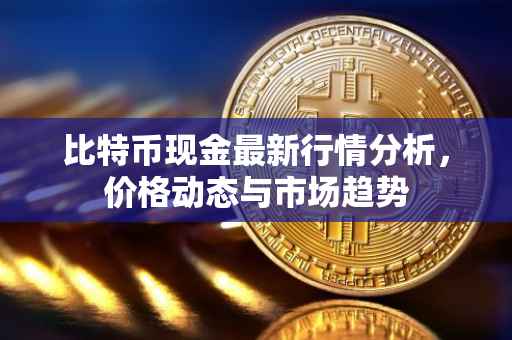 比特币现金最新行情分析，价格动态与市场趋势