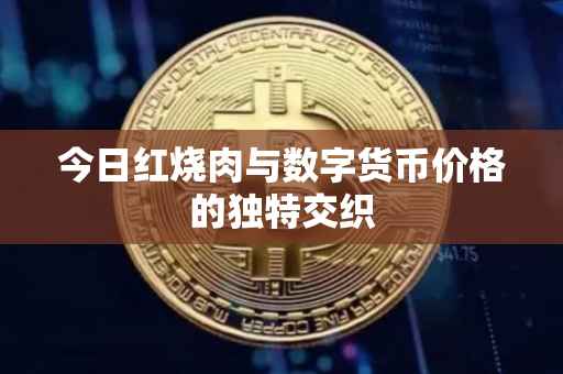 今日红烧肉与数字货币价格的独特交织
