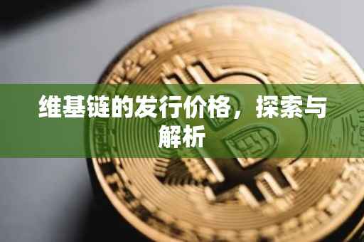 维基链的发行价格，探索与解析