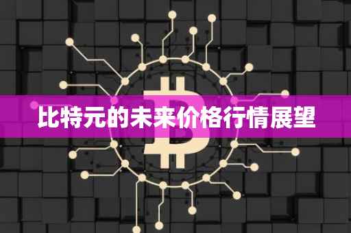 比特元的未来价格行情展望