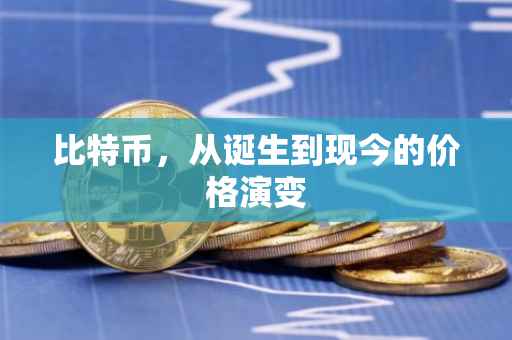 比特币，从诞生到现今的价格演变