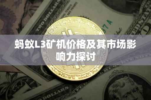 蚂蚁L3矿机价格及其市场影响力探讨