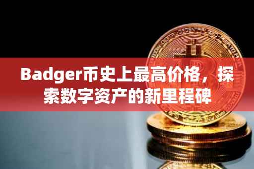 Badger币史上最高价格，探索数字资产的新里程碑