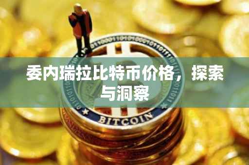 委内瑞拉比特币价格，探索与洞察