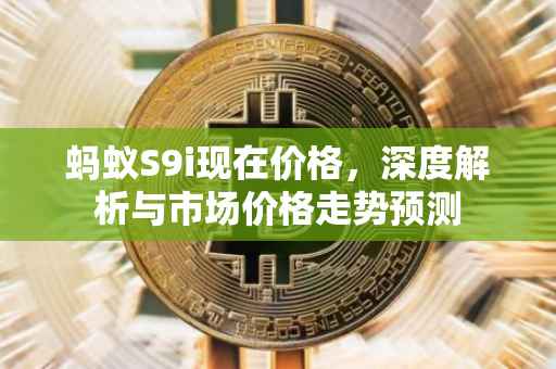 蚂蚁S9i现在价格，深度解析与市场价格走势预测