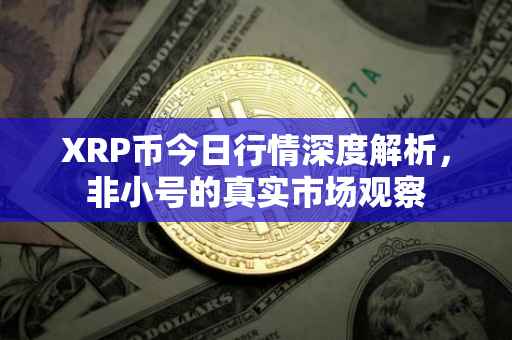 XRP币今日行情深度解析，非小号的真实市场观察