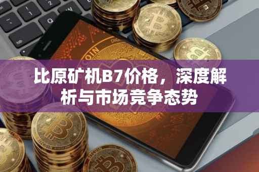 比原矿机B7价格，深度解析与市场竞争态势