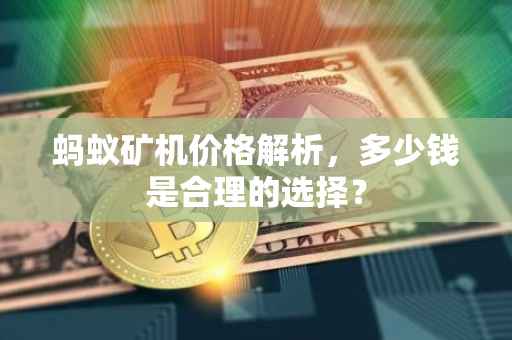 蚂蚁矿机价格解析，多少钱是合理的选择？