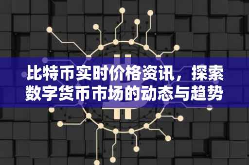 比特币实时价格资讯，探索数字货币市场的动态与趋势