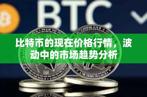 比特币的现在价格行情，波动中的市场趋势分析