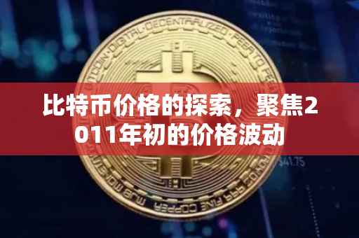比特币价格的探索，聚焦2011年初的价格波动