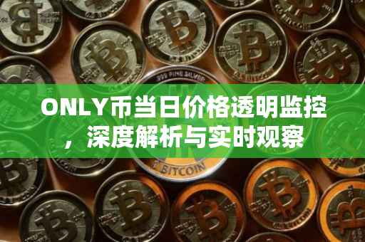 ONLY币当日价格透明监控，深度解析与实时观察
