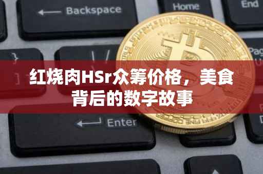 红烧肉HSr众筹价格，美食背后的数字故事