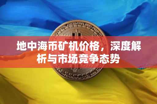 地中海币矿机价格，深度解析与市场竞争态势