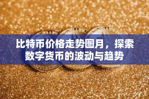 比特币价格走势图月，探索数字货币的波动与趋势