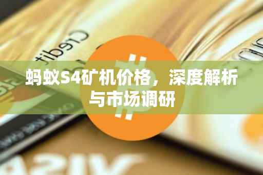 蚂蚁S4矿机价格，深度解析与市场调研