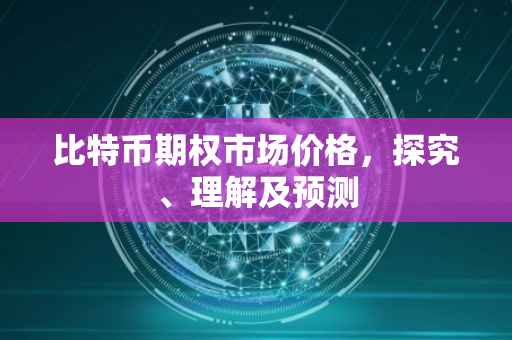 比特币期权市场价格，探究、理解及预测