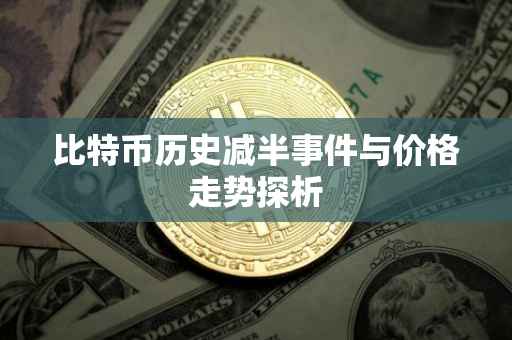 比特币历史减半事件与价格走势探析