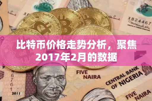 比特币价格走势分析，聚焦2017年2月的数据