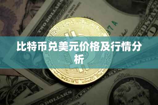 比特币兑美元价格及行情分析