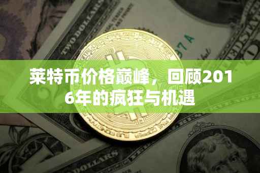 莱特币价格巅峰，回顾2016年的疯狂与机遇